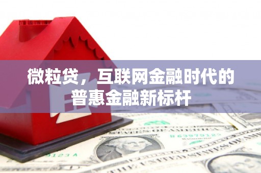 风顺堂区微粒贷，互联网金融时代的普惠金融新标杆
