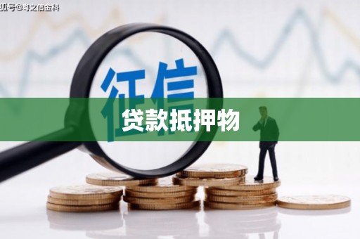 风顺堂区贷款抵押物