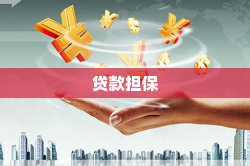 风顺堂区贷款担保