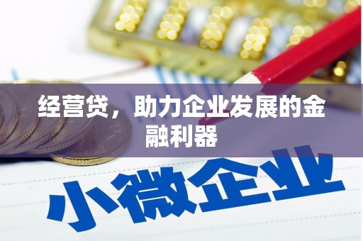 风顺堂区经营贷，助力企业发展的金融利器