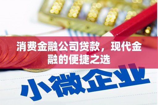 风顺堂区消费金融公司贷款，现代金融的便捷之选