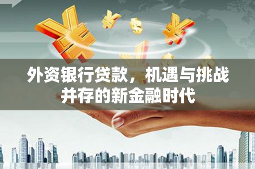 风顺堂区外资银行贷款，机遇与挑战并存的新金融时代