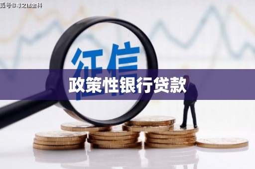 风顺堂区政策性银行贷款