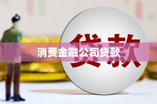风顺堂区消费金融公司贷款