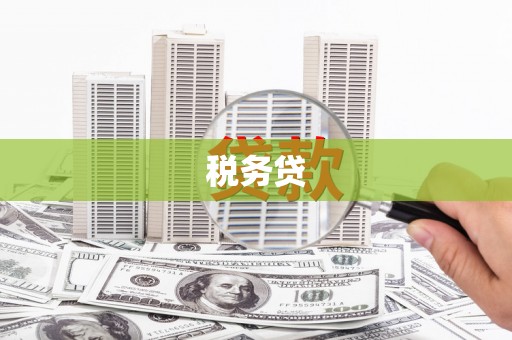 风顺堂区税务贷
