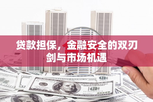 风顺堂区贷款担保，金融安全的双刃剑与市场机遇
