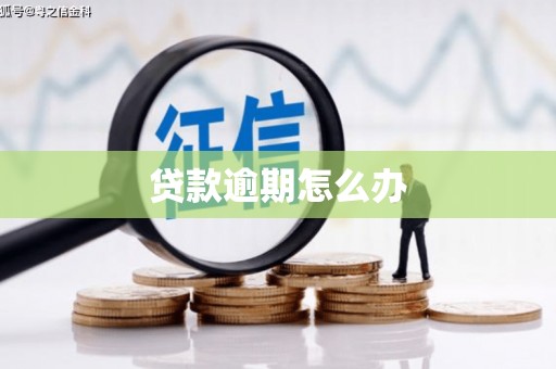 风顺堂区贷款逾期怎么办