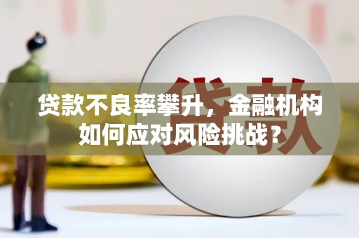 风顺堂区贷款不良率攀升，金融机构如何应对风险挑战？
