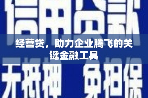 风顺堂区经营贷，助力企业腾飞的关键金融工具