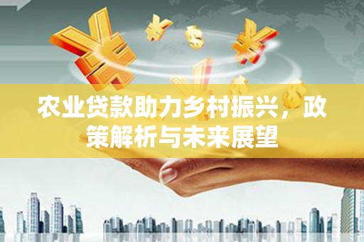 风顺堂区农业贷款助力乡村振兴，政策解析与未来展望