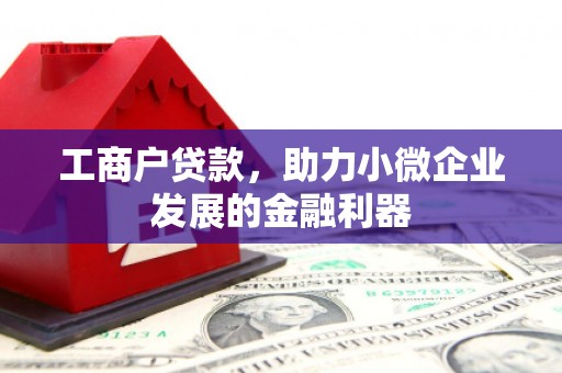 风顺堂区工商户贷款，助力小微企业发展的金融利器