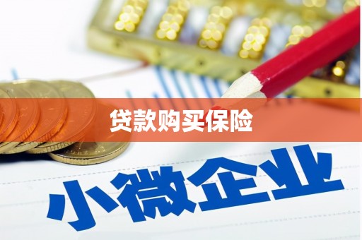 风顺堂区贷款购买保险