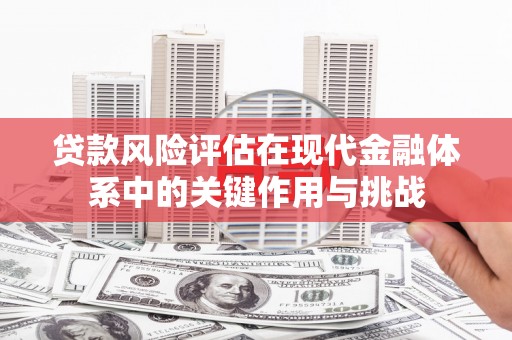 风顺堂区贷款风险评估在现代金融体系中的关键作用与挑战