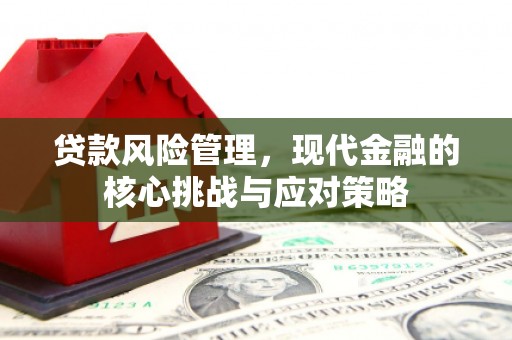 风顺堂区贷款风险管理，现代金融的核心挑战与应对策略