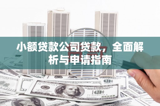 风顺堂区小额贷款公司贷款，全面解析与申请指南