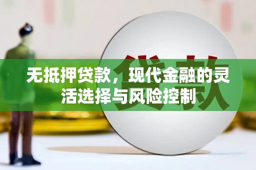 风顺堂区无抵押贷款，现代金融的灵活选择与风险控制