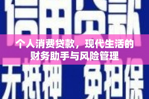 风顺堂区个人消费贷款，现代生活的财务助手与风险管理