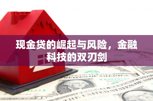 风顺堂区现金贷的崛起与风险，金融科技的双刃剑