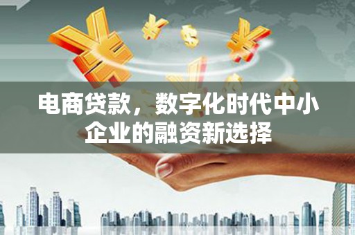 风顺堂区电商贷款，数字化时代中小企业的融资新选择