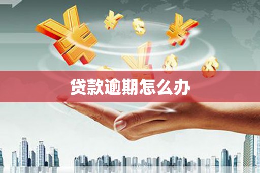 风顺堂区贷款逾期怎么办