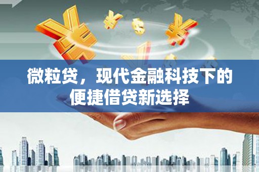 风顺堂区微粒贷，现代金融科技下的便捷借贷新选择