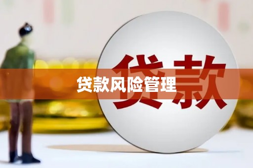 风顺堂区贷款风险管理