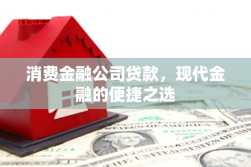 风顺堂区消费金融公司贷款，现代金融的便捷之选