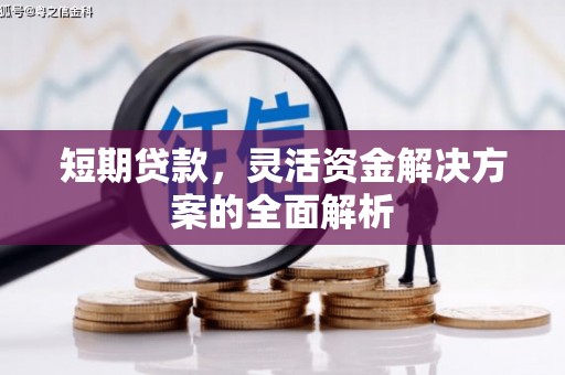 风顺堂区短期贷款，灵活资金解决方案的全面解析