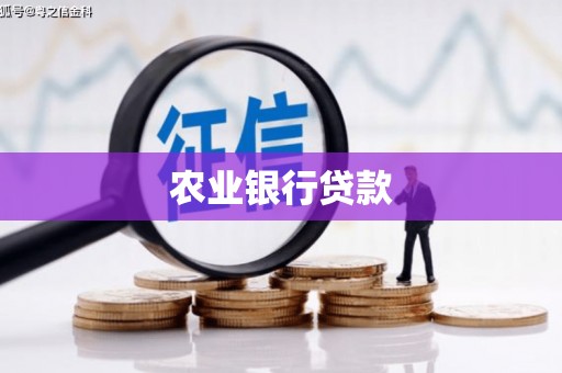 风顺堂区农业银行贷款