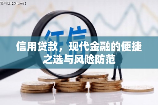 风顺堂区信用贷款，现代金融的便捷之选与风险防范