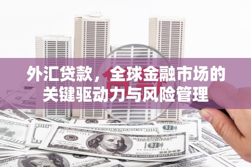 风顺堂区外汇贷款，全球金融市场的关键驱动力与风险管理