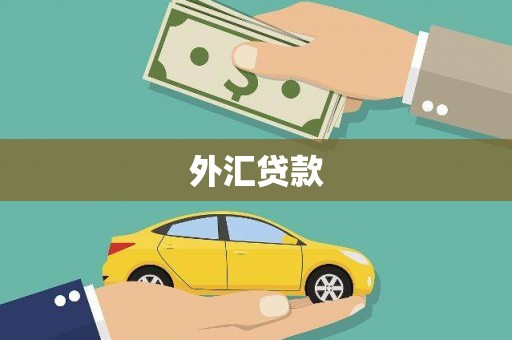 风顺堂区外汇贷款