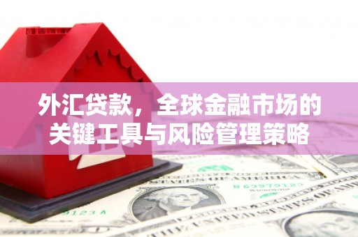 风顺堂区外汇贷款，全球金融市场的关键工具与风险管理策略