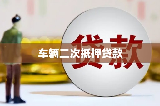 风顺堂区车辆二次抵押贷款