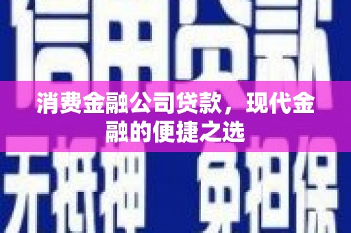 风顺堂区消费金融公司贷款，现代金融的便捷之选