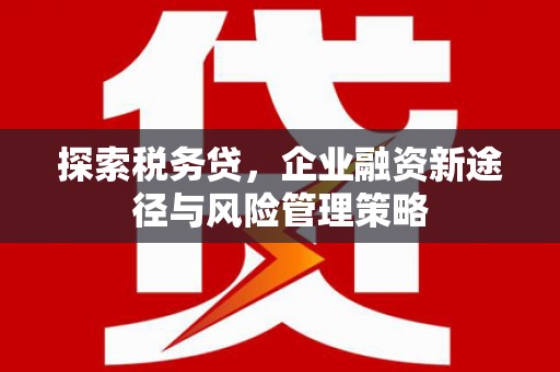 风顺堂区探索税务贷，企业融资新途径与风险管理策略