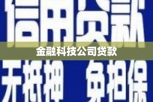 风顺堂区金融科技公司贷款