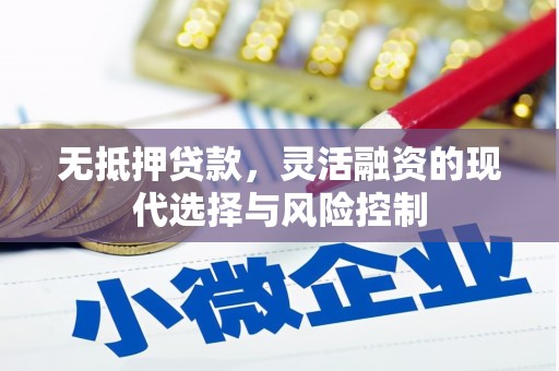 风顺堂区无抵押贷款，灵活融资的现代选择与风险控制