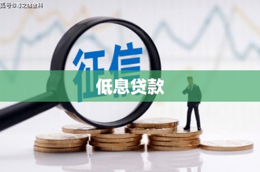风顺堂区低息贷款