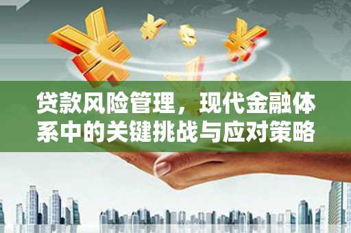 风顺堂区贷款风险管理，现代金融体系中的关键挑战与应对策略
