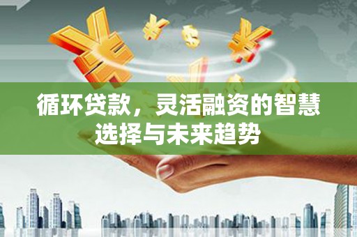 风顺堂区循环贷款，灵活融资的智慧选择与未来趋势