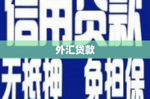 风顺堂区外汇贷款