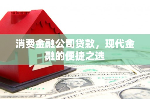 风顺堂区消费金融公司贷款，现代金融的便捷之选