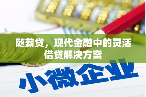 风顺堂区随薪贷，现代金融中的灵活借贷解决方案