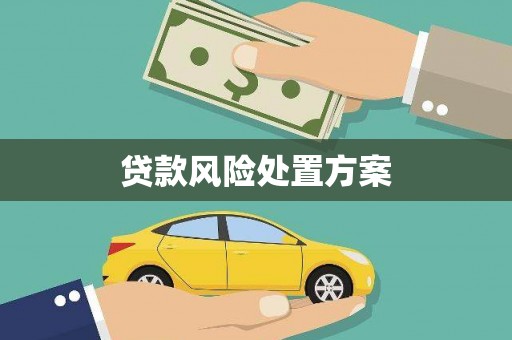 风顺堂区贷款风险处置方案