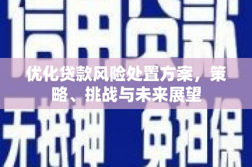 风顺堂区优化贷款风险处置方案，策略、挑战与未来展望