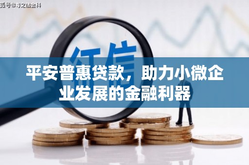 风顺堂区平安普惠贷款，助力小微企业发展的金融利器