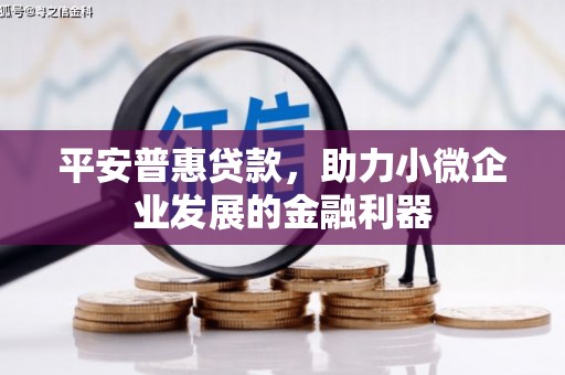 风顺堂区平安普惠贷款，助力小微企业发展的金融利器