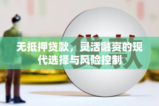 风顺堂区无抵押贷款，灵活融资的现代选择与风险控制