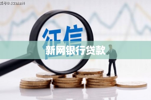 风顺堂区新网银行贷款